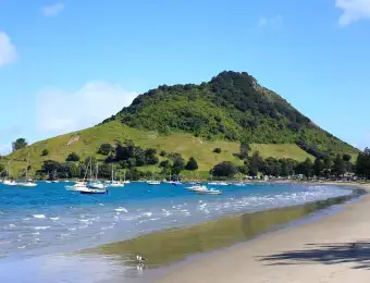 Tauranga Building Inspection
