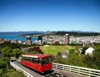 Wellington Building Inspection