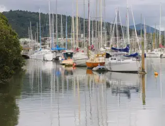 Whangarei Building Inspection